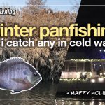 can i catch any winter panfish? / happy new year vlog